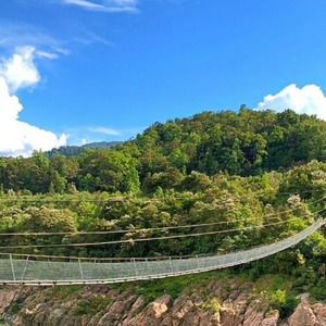 Meet your Posher, Horse